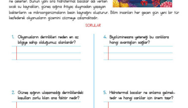4. Sınıf Okuma Anlama Etkinliği – 35 4. Sınıf Okuma Anlama Etkinliği – 35