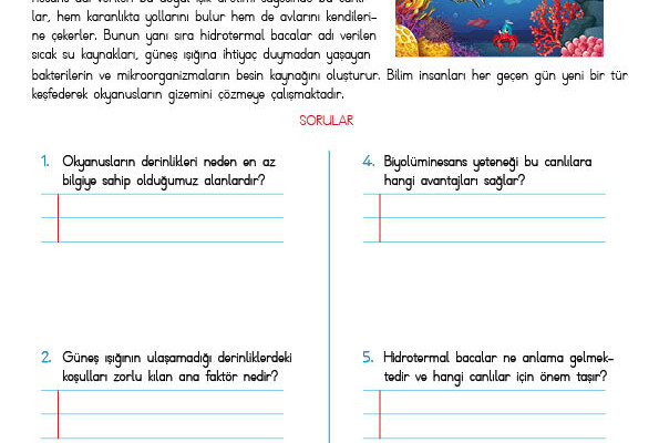 4. Sınıf Okuma Anlama Etkinliği – 35